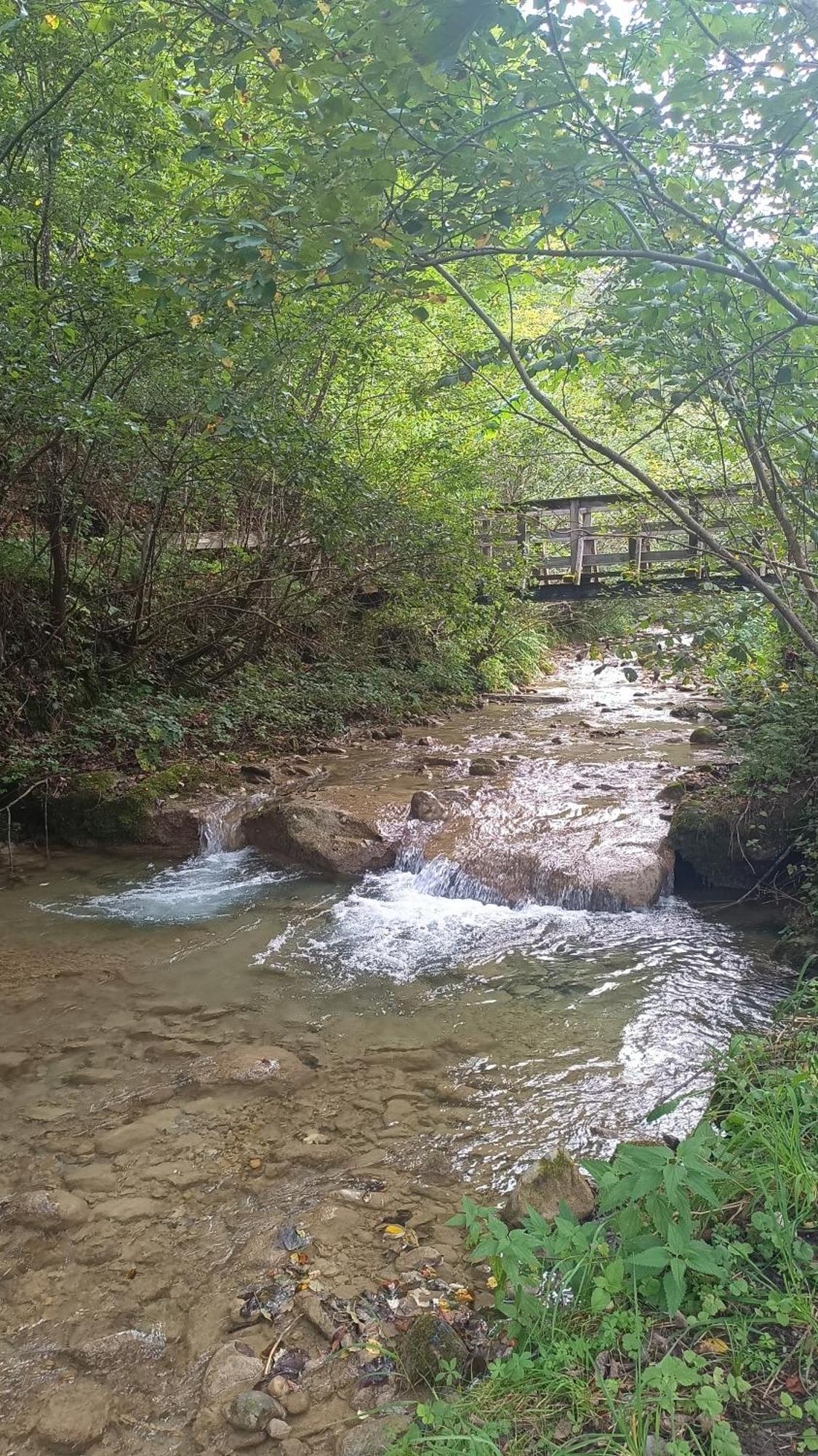 Imlau 51 Διαμέρισμα Εξωτερικό φωτογραφία